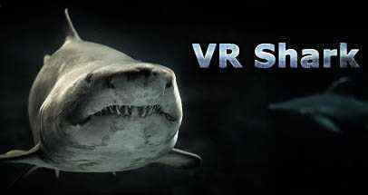 VR鲨鱼（VR Shark）