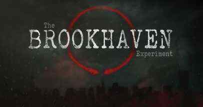 布鲁克海文实验(The Brookhaven Experiment)