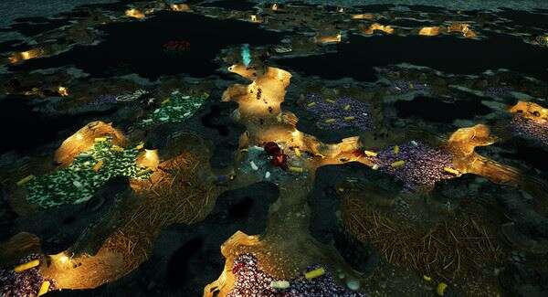 地下蚁国 | Empires of the Undergrowth-6
