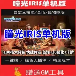网游单机 瞳光IRIS单机版一键端 瞳光网单游戏 100格大背包GM工具