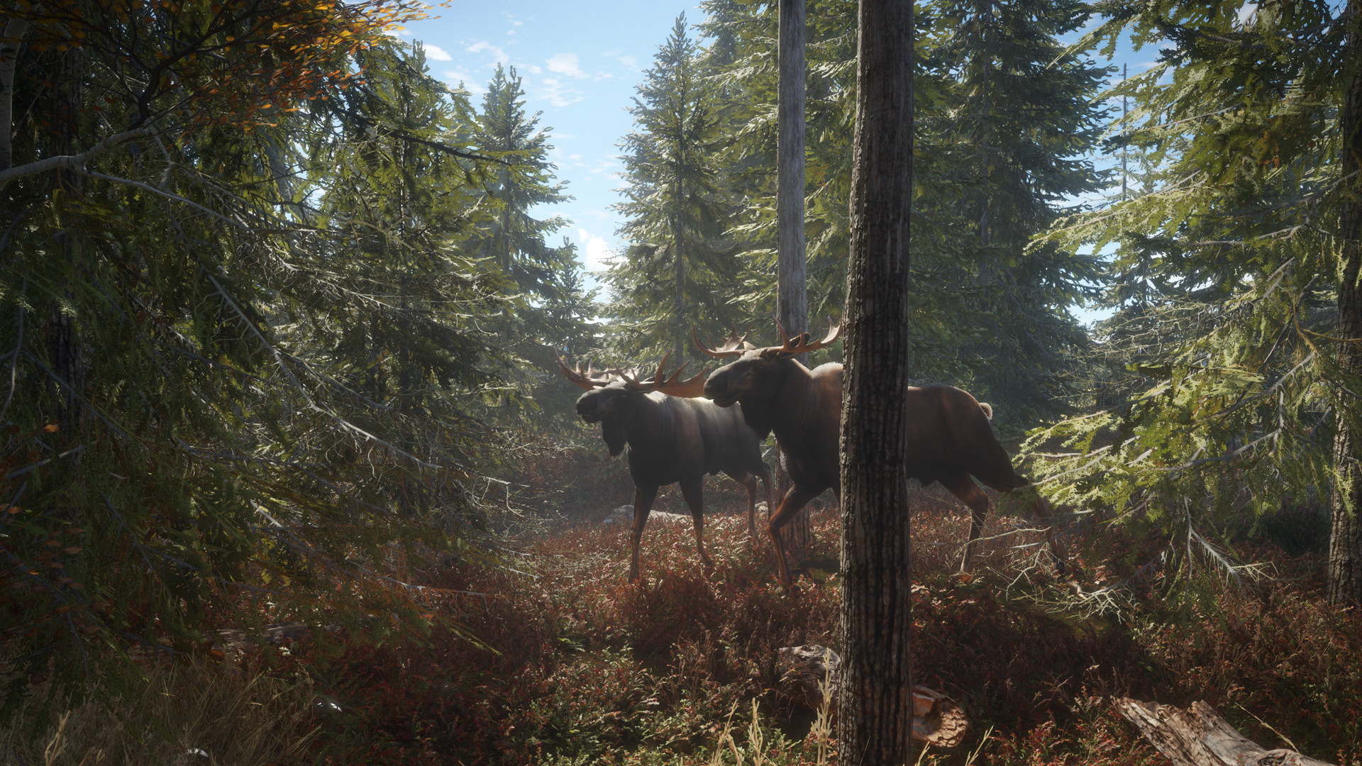 猎人：荒野的召唤-theHunter: Call of the Wild-支持网络联机