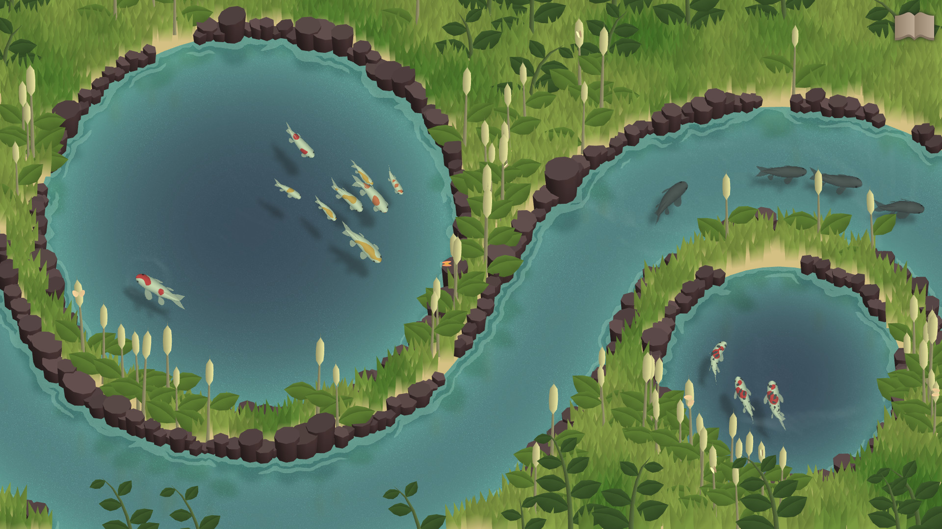 锦鲤养殖场-Koi Farm