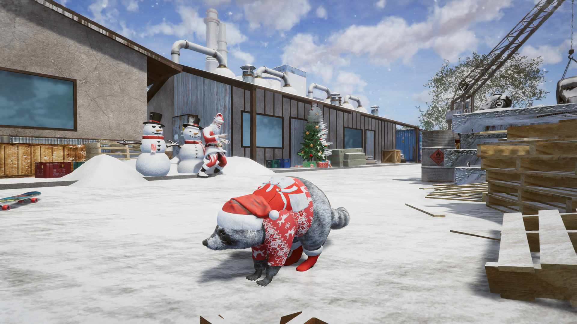 浣熊通缉犯-Wanted Raccoon