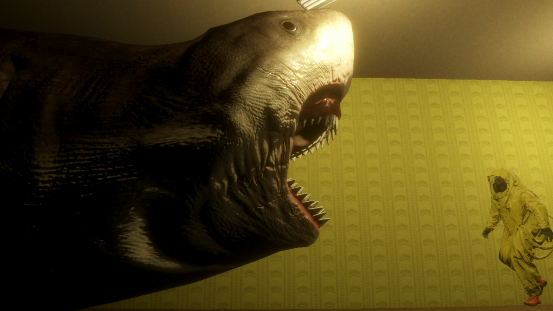 后室循环-BACKROOM LOOP