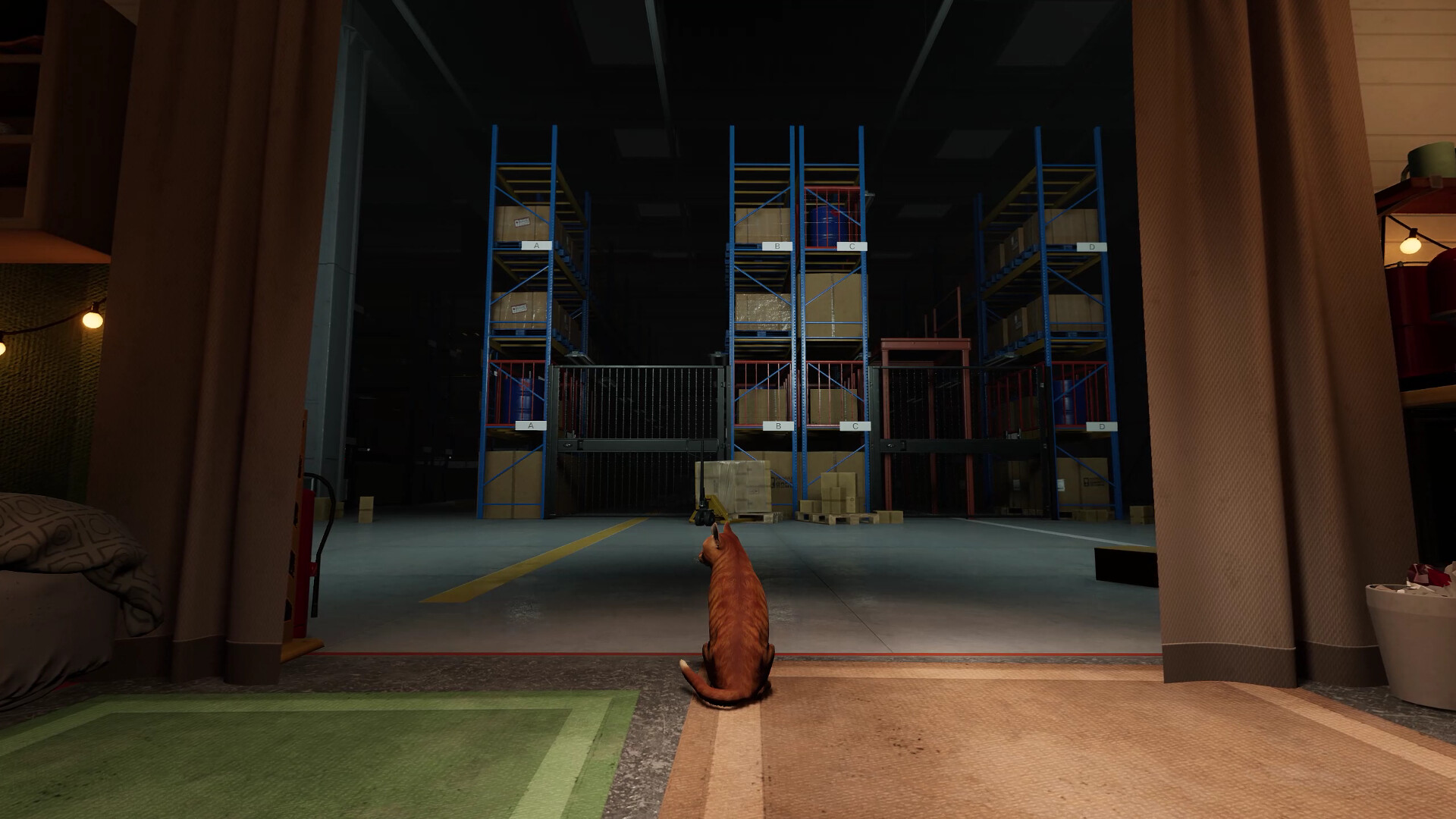 猫好货坏-ORDER 13