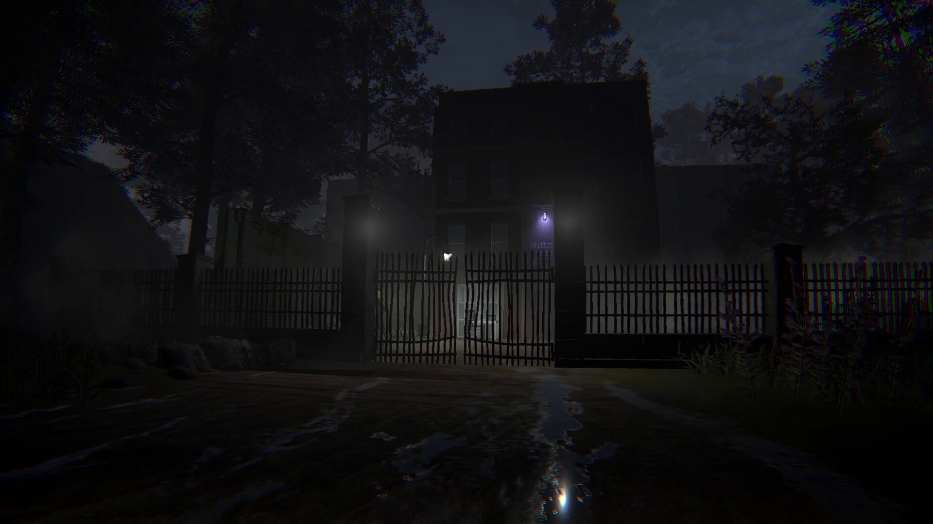 病患001-Patient 001