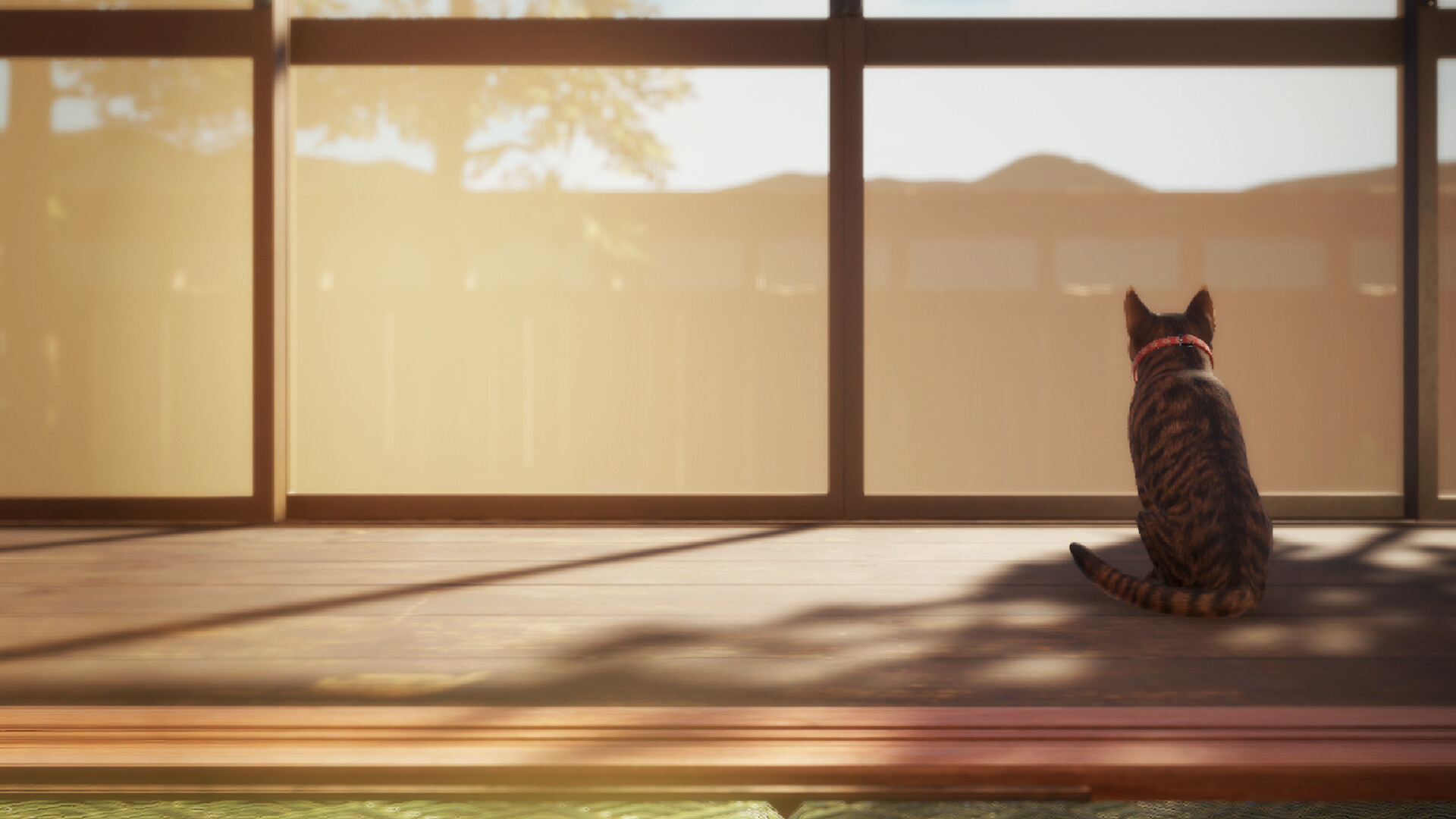 猫还在逃吗？-Still It Runs