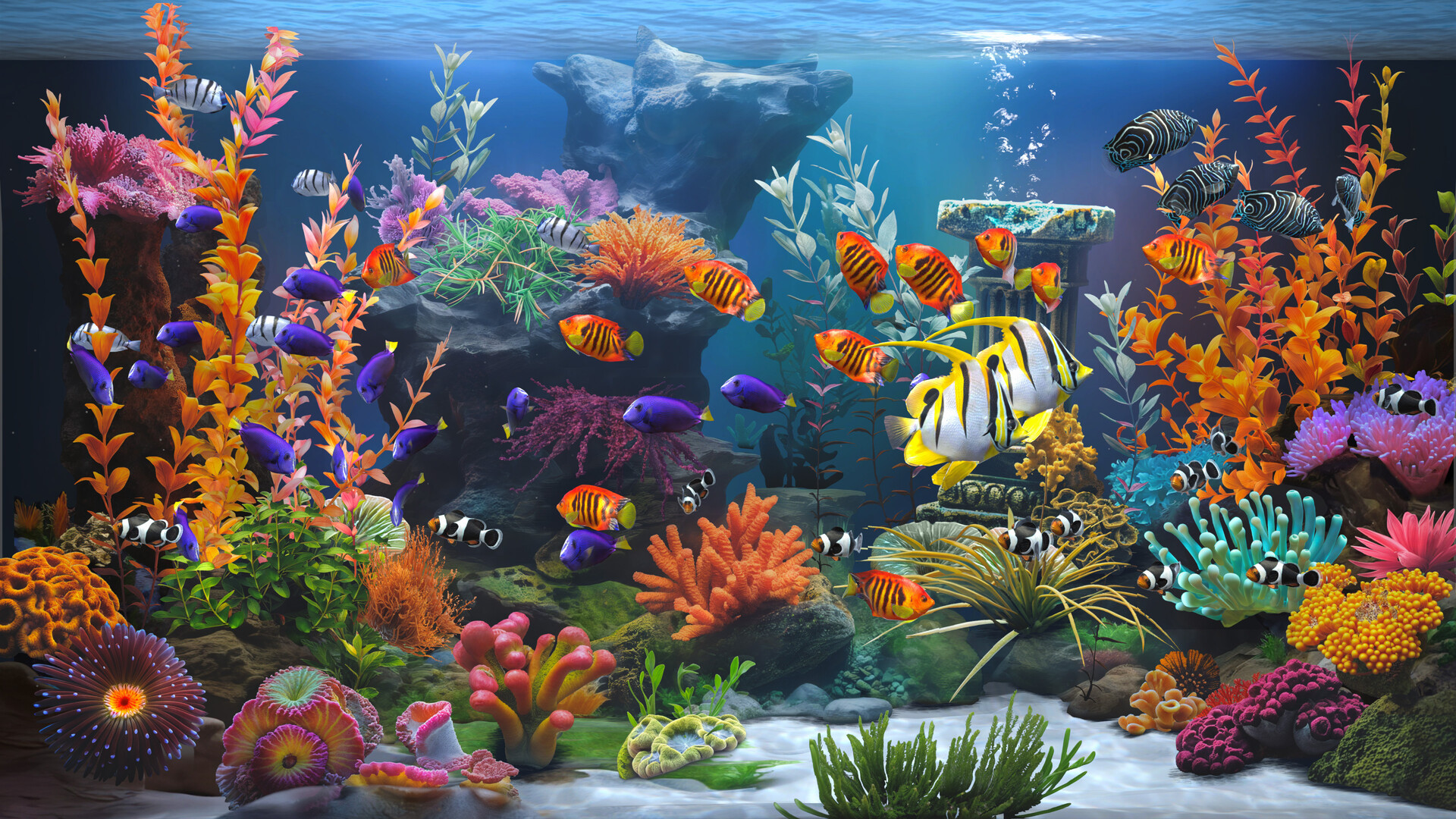 禅意水族馆-Zen Aquarium