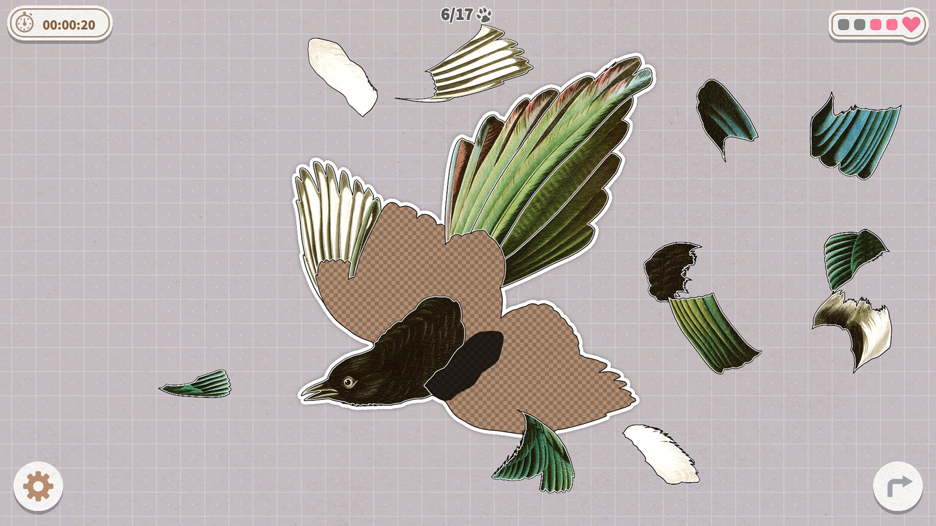 挤在一起的鸟鸟-Birds Huddled Together