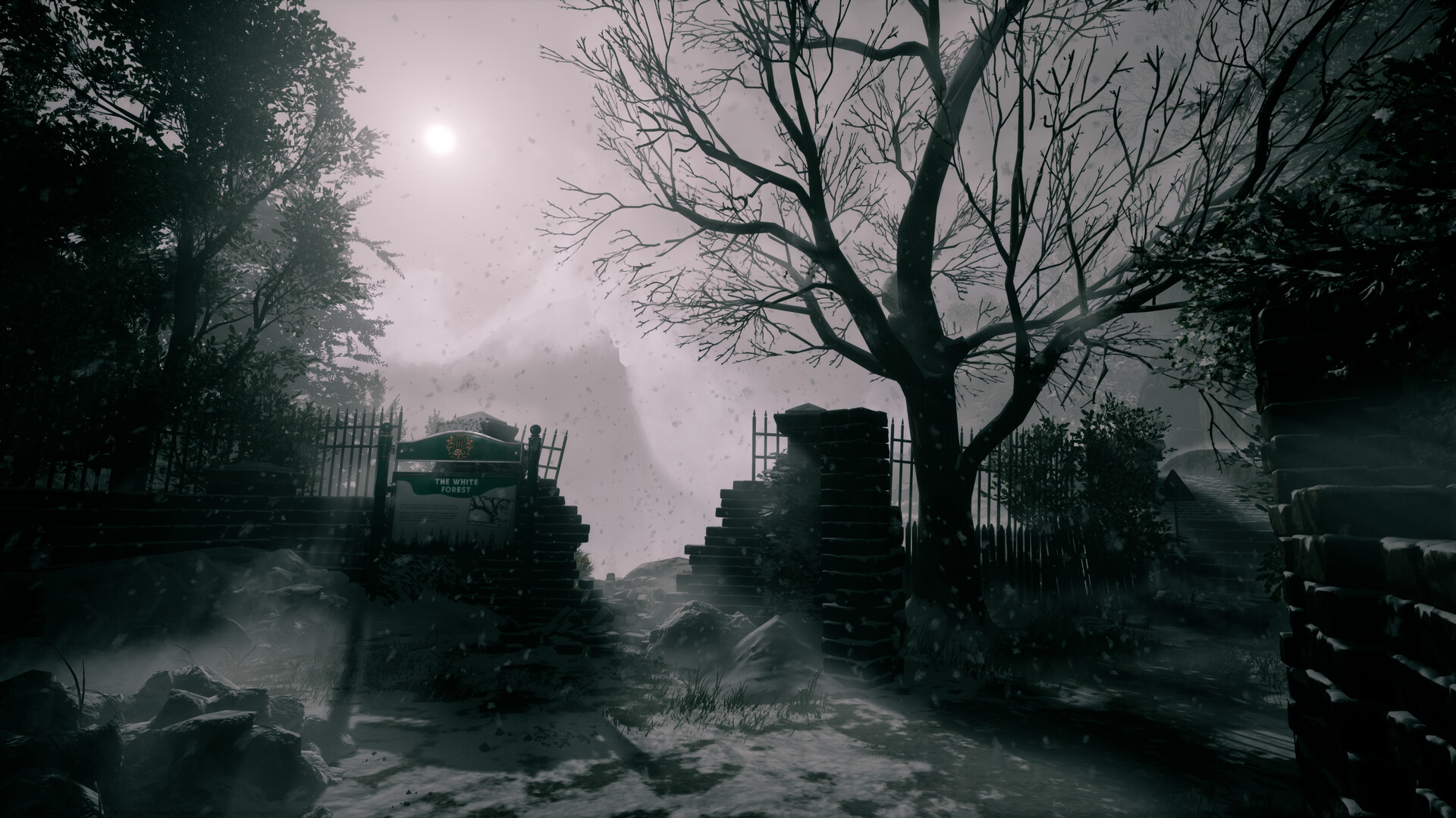 她要离开-She\’s Leaving