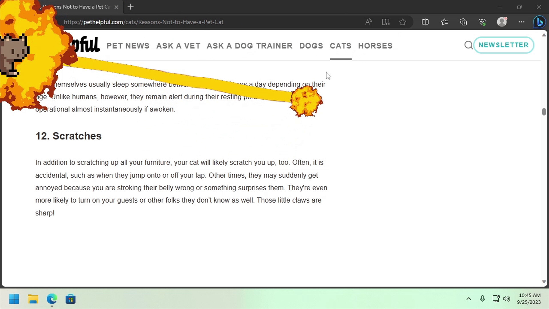 桌面宠物-Desktop Pet Project