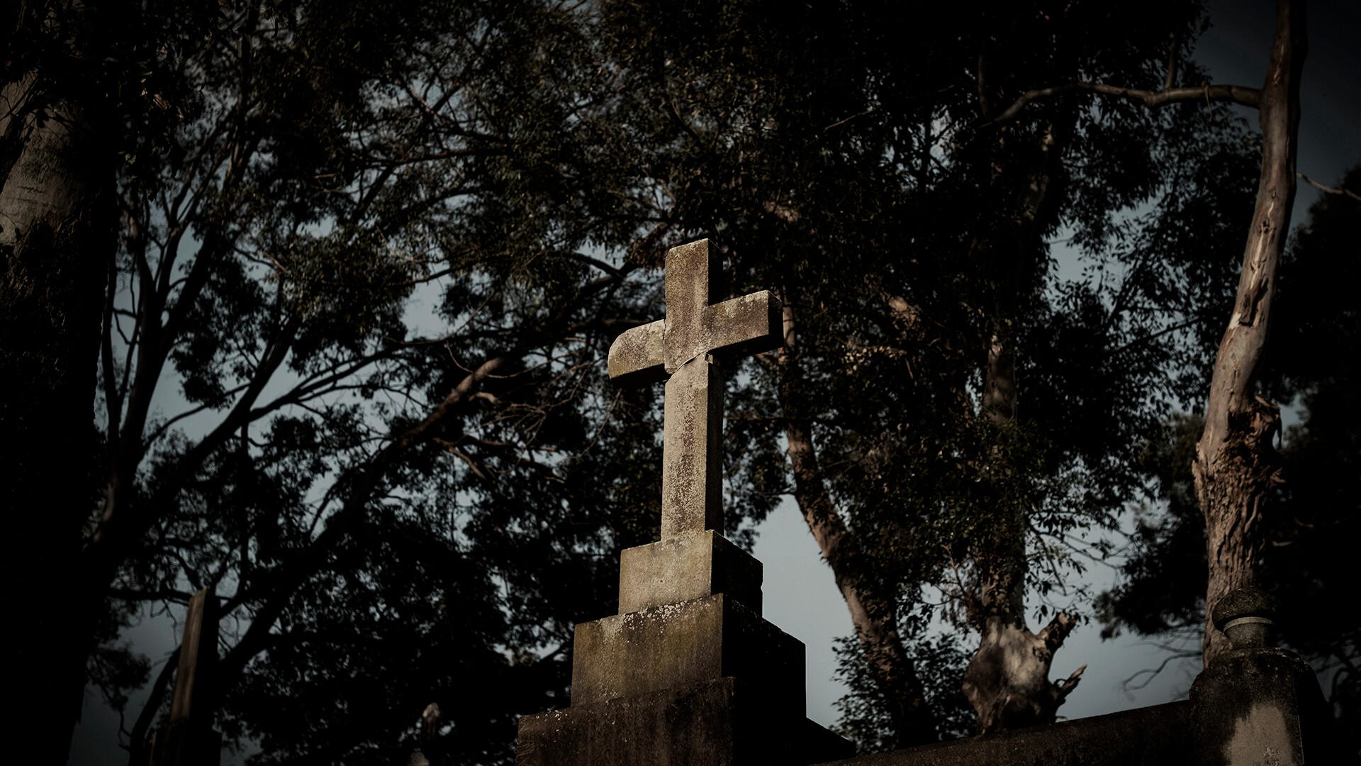 ASZG项目-ASZG Project