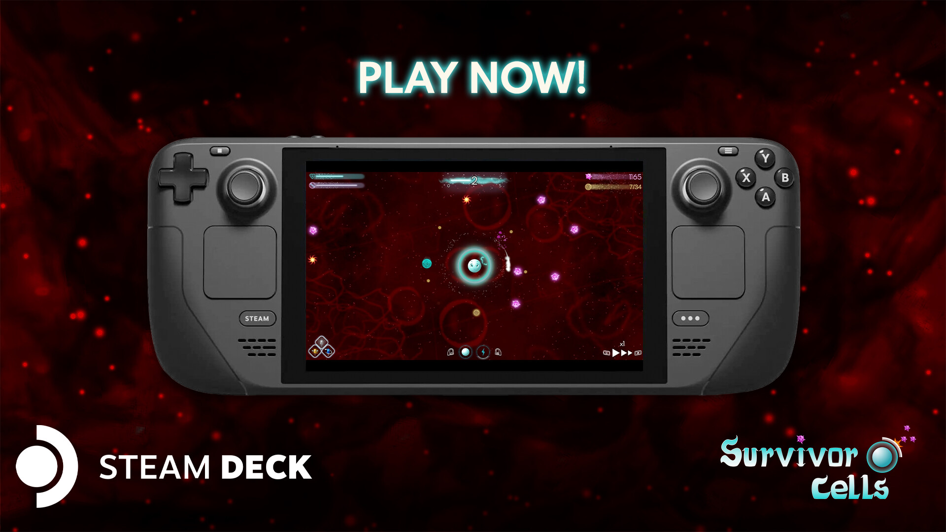 存活细胞-Survivor Cells