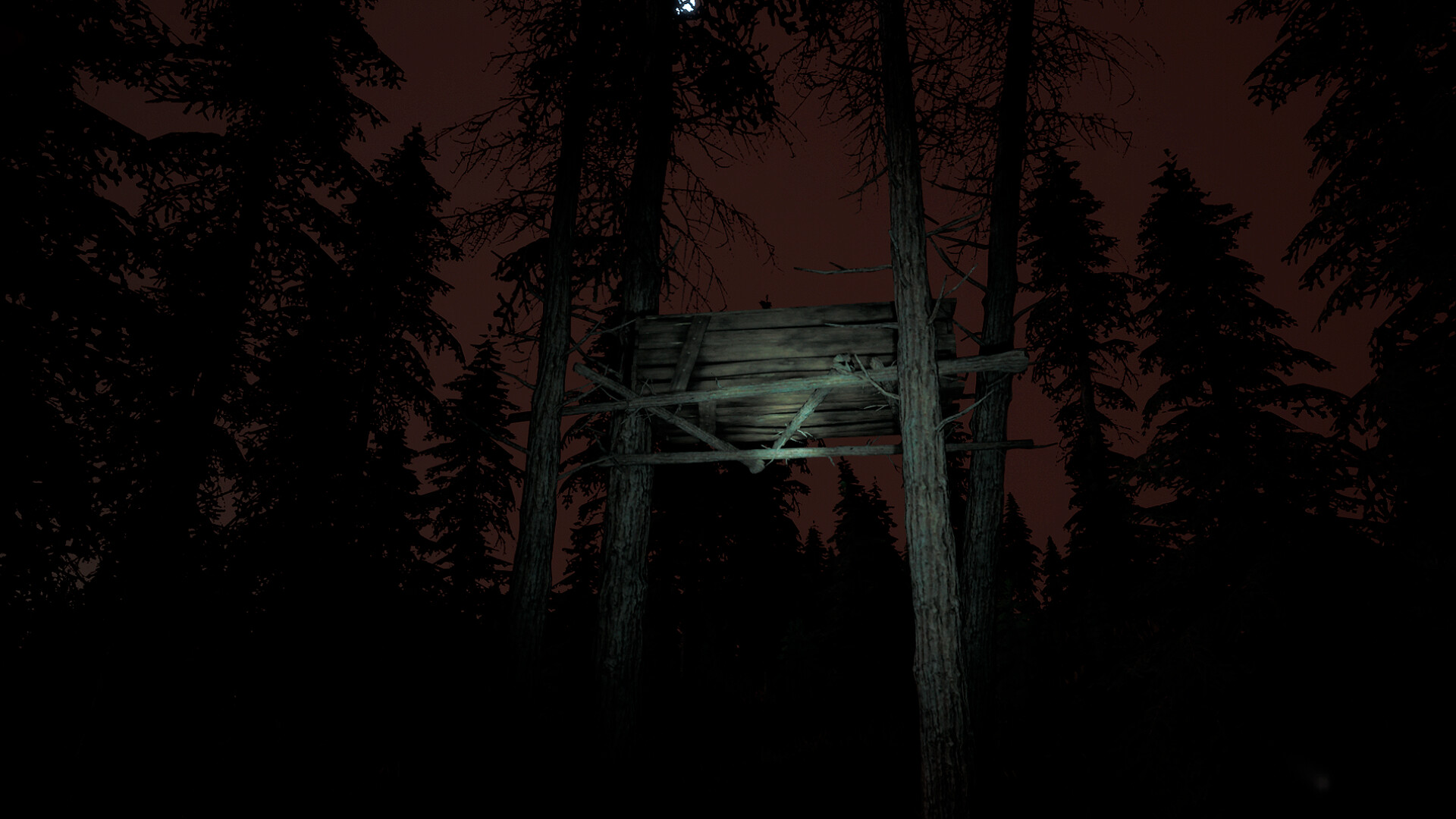 赛特的诅咒-Setteeh