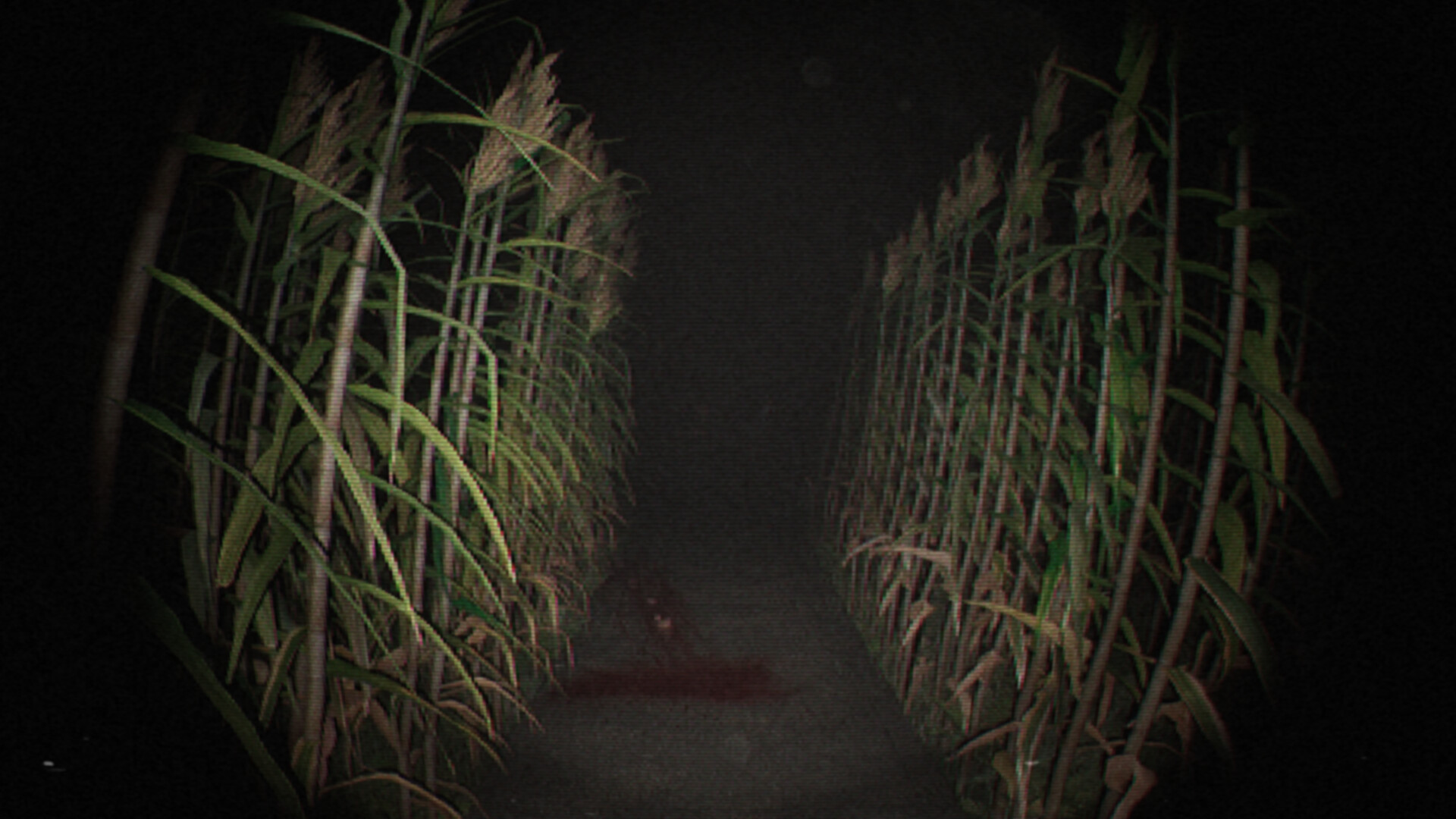 诡影实录-Unknown Tapes