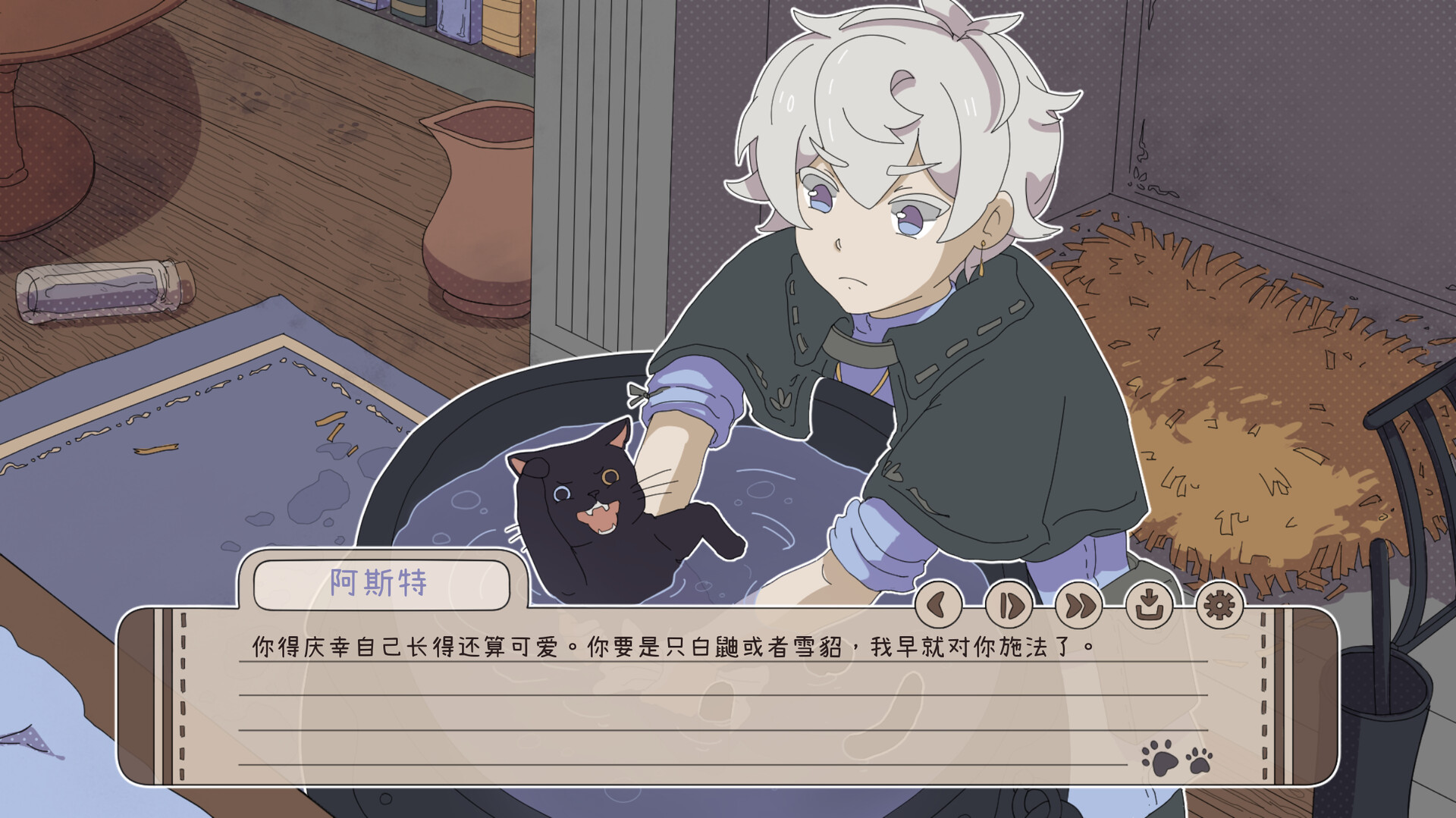 我家猫崽可爱到“刑”了！-My Confounding Cat is Criminally Cute!