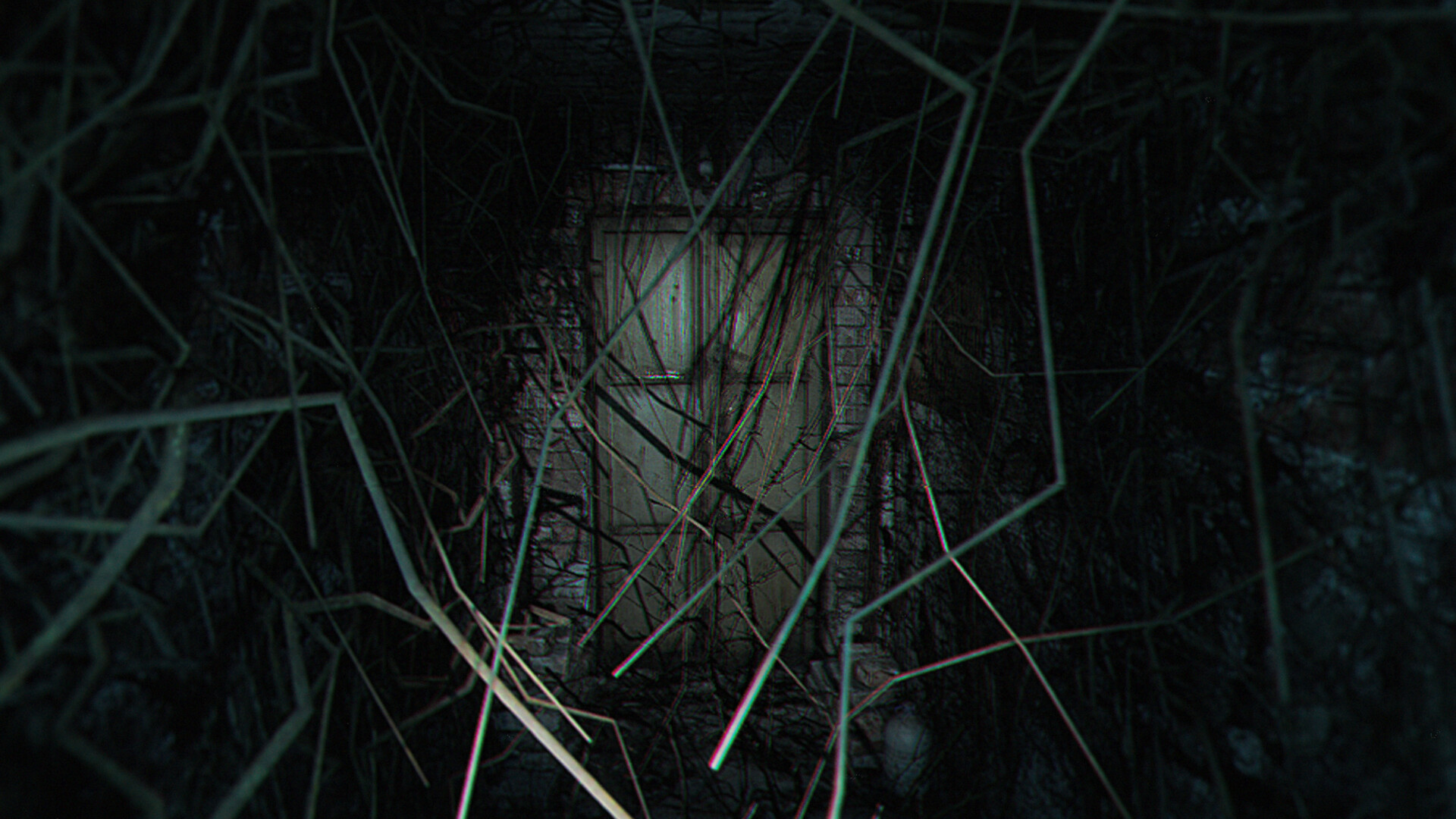 诡异之光-The Strange Lights