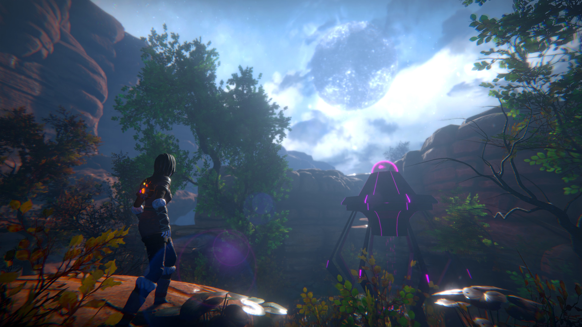 生命之种-Seed of Life